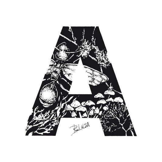 A - ADH - AROMA DE HORMIGUERO