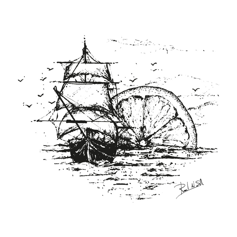 Raúl del Sol Egnaro