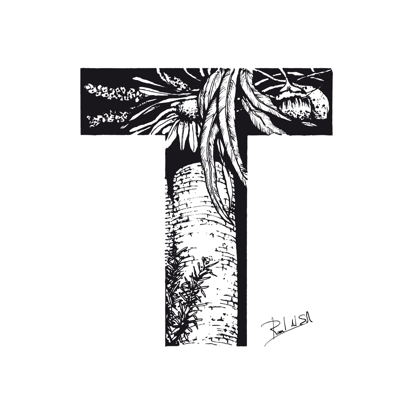 T - TDM - TORROELLA DE MONTGRÍ