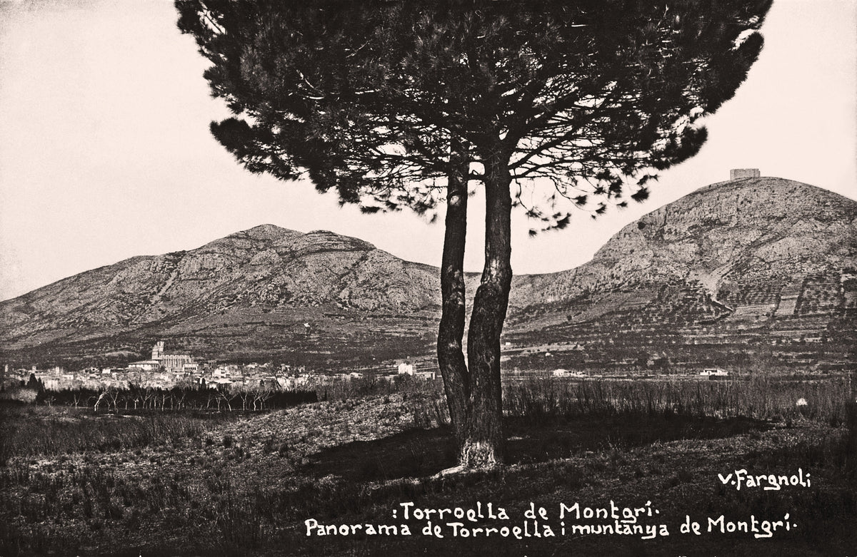 Foto antiga de Torroella de Montgrí - V. Fargnolí