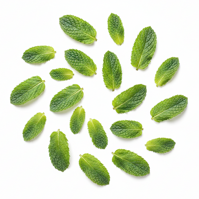 ORGANIC PEPPERMINT